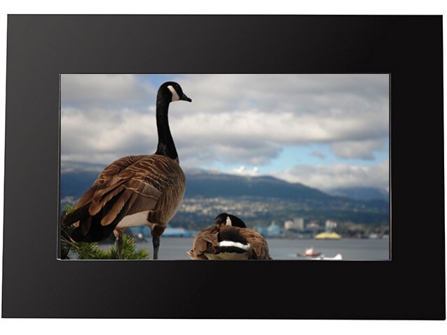 Fluid 7 quot; LCD Digital Picture Frame