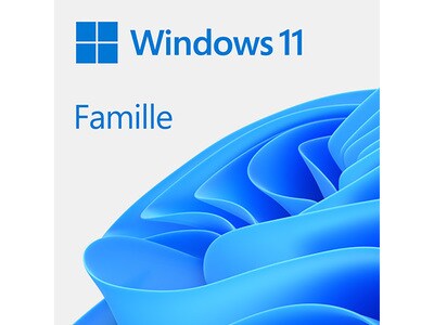 Microsoft® Windows 11 Famille 64-bit bilingue (Code Electronique)