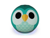 All-new Echo Dot (5th Generation, 2022 Release) Kids - Designed for  Kids, with Parental Controls - Owl