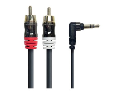 Auxconnect 3,5 mm vers câble audio RCA stéréo de 1,8 m (6 pi) de Scosche