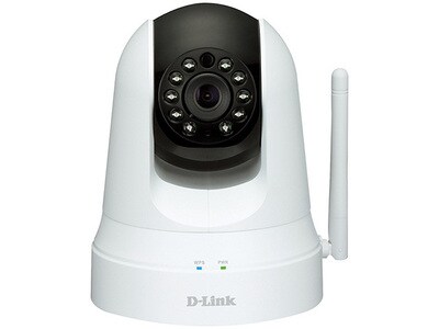 D-Link Pan & Tilt Day/Night Network Camera