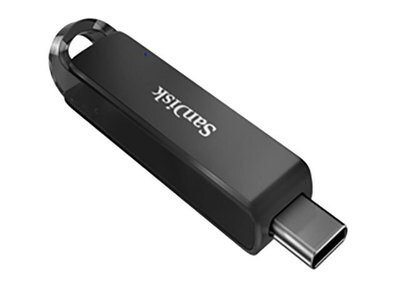 Sandisk Clé USB Ultra 256 Go Argenté